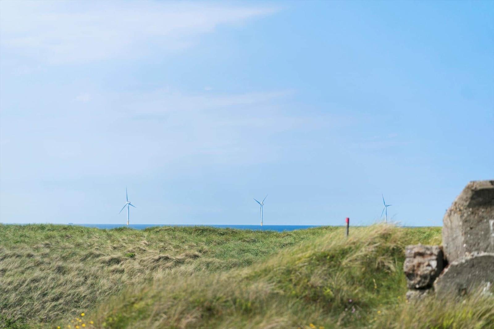 Grüne Hügellandschaft mit Windrädern am Horizont und blauem Himmel.