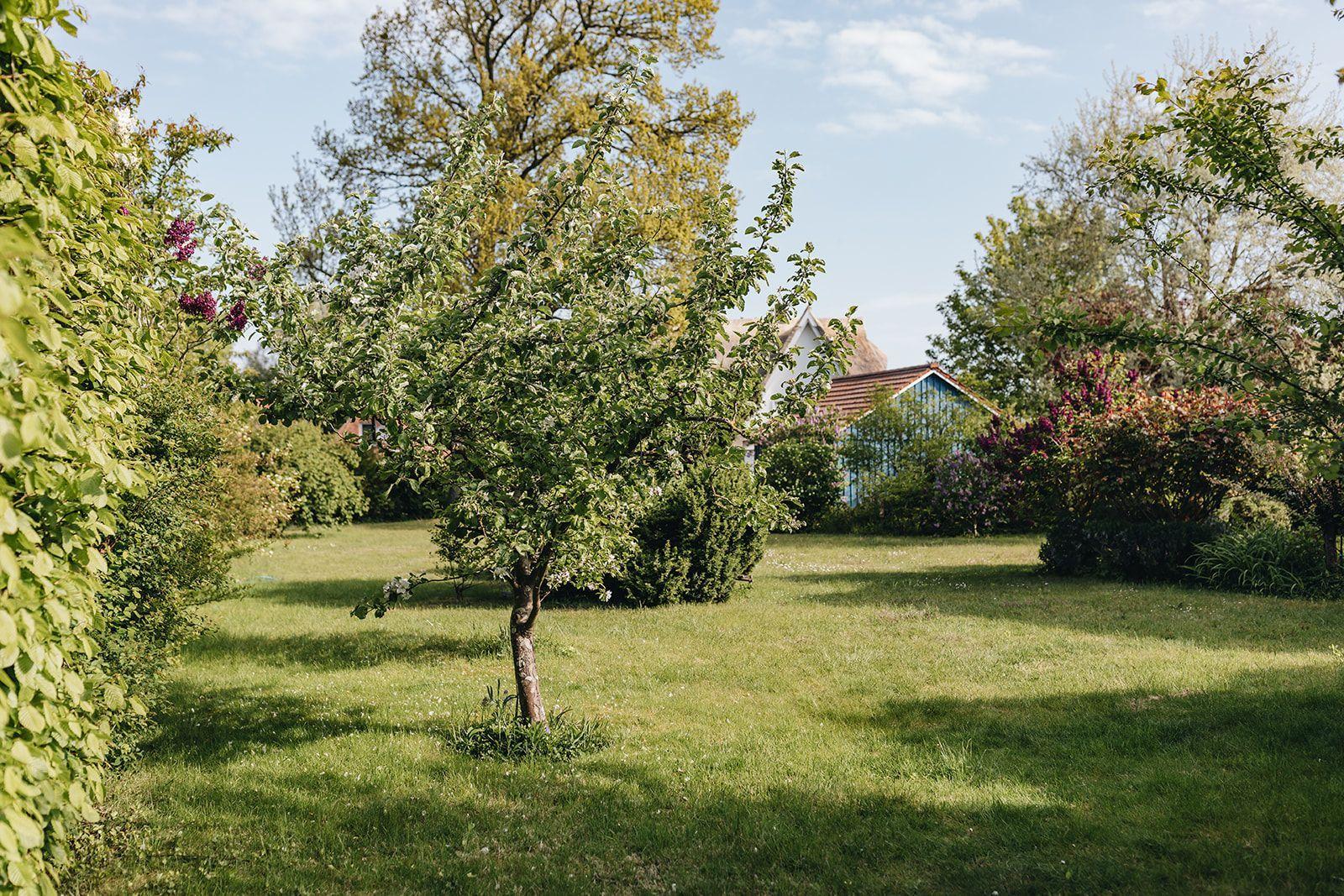 Garten
