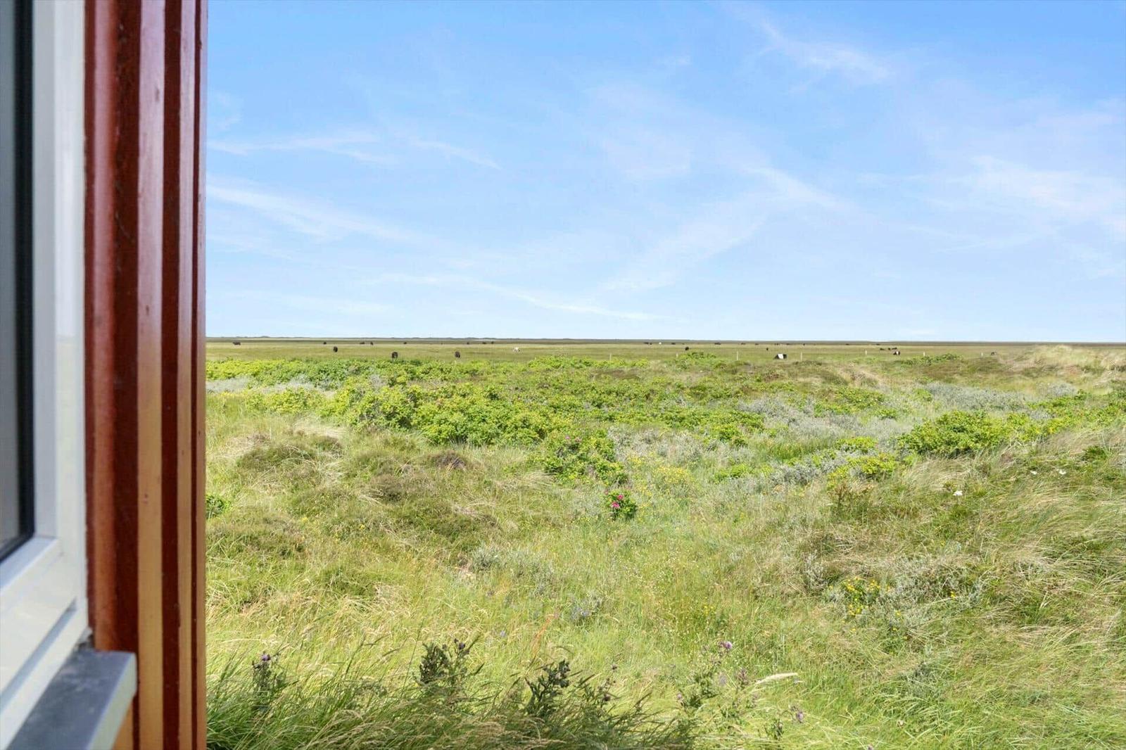 Von einem Fenster blickt man auf eine grüne Wiese mit niedrigen Sträuchern und einem klaren Himmel.