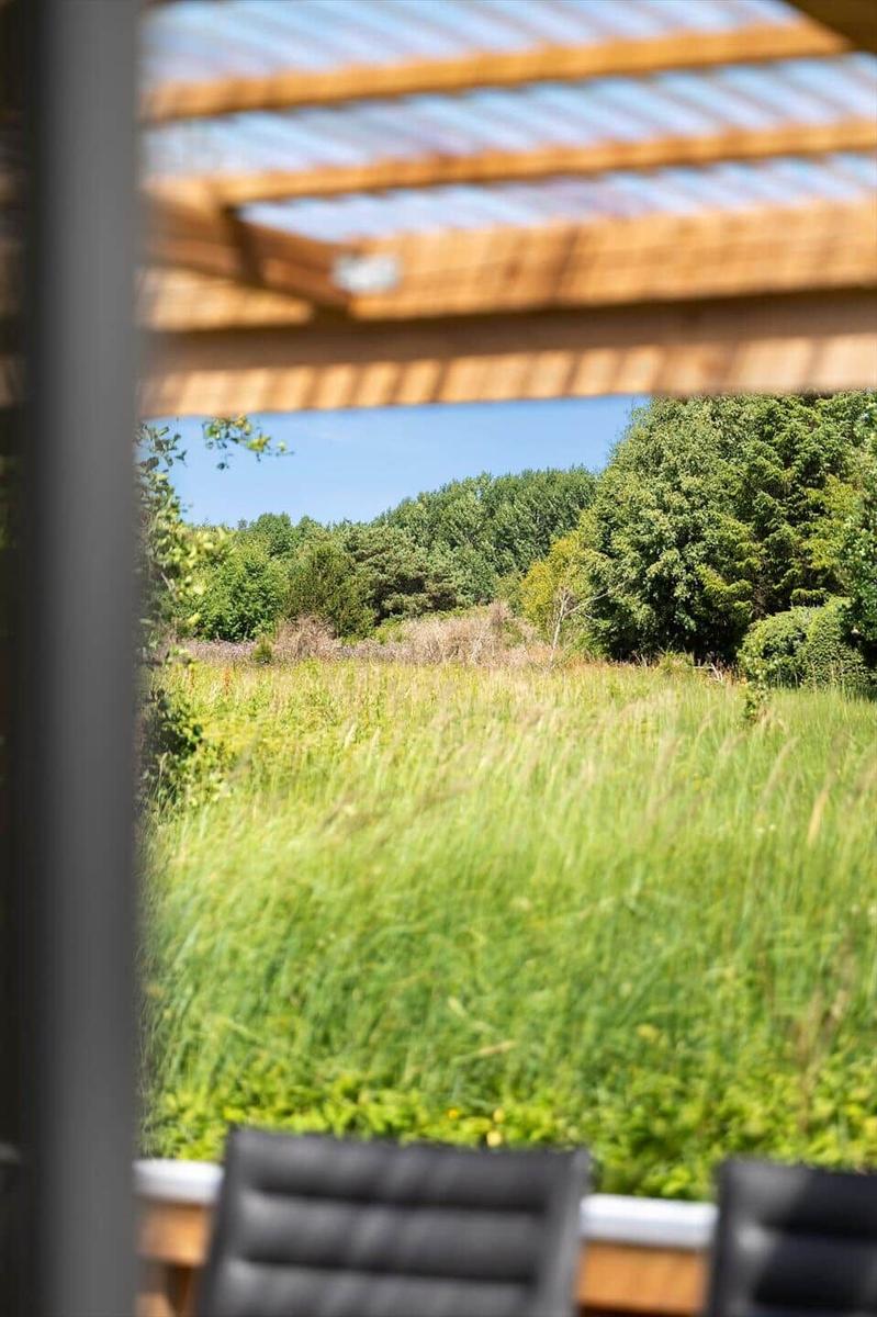 Ausblick von einer Terrasse auf ein grünes Feld und einen Wald.