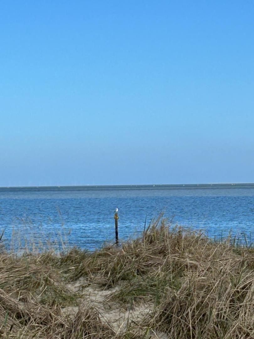 Meeresblick mit Strandgras und Vogel auf Pfosten