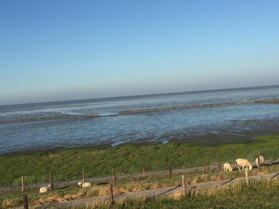 Grünes Feld mit Schafen neben einem Wasserbereich mit Holzpfählen.