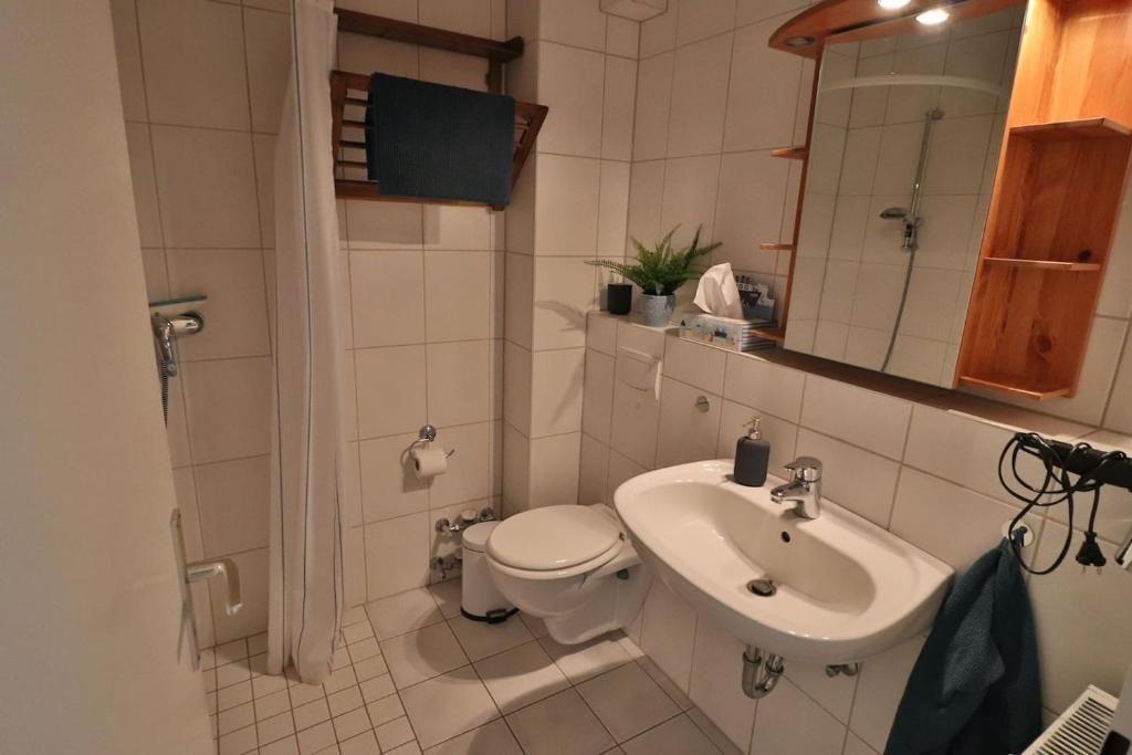Badezimmer mit Dusche, Toilette und Waschbecken. Holzregal und Spiegel sichtbar.