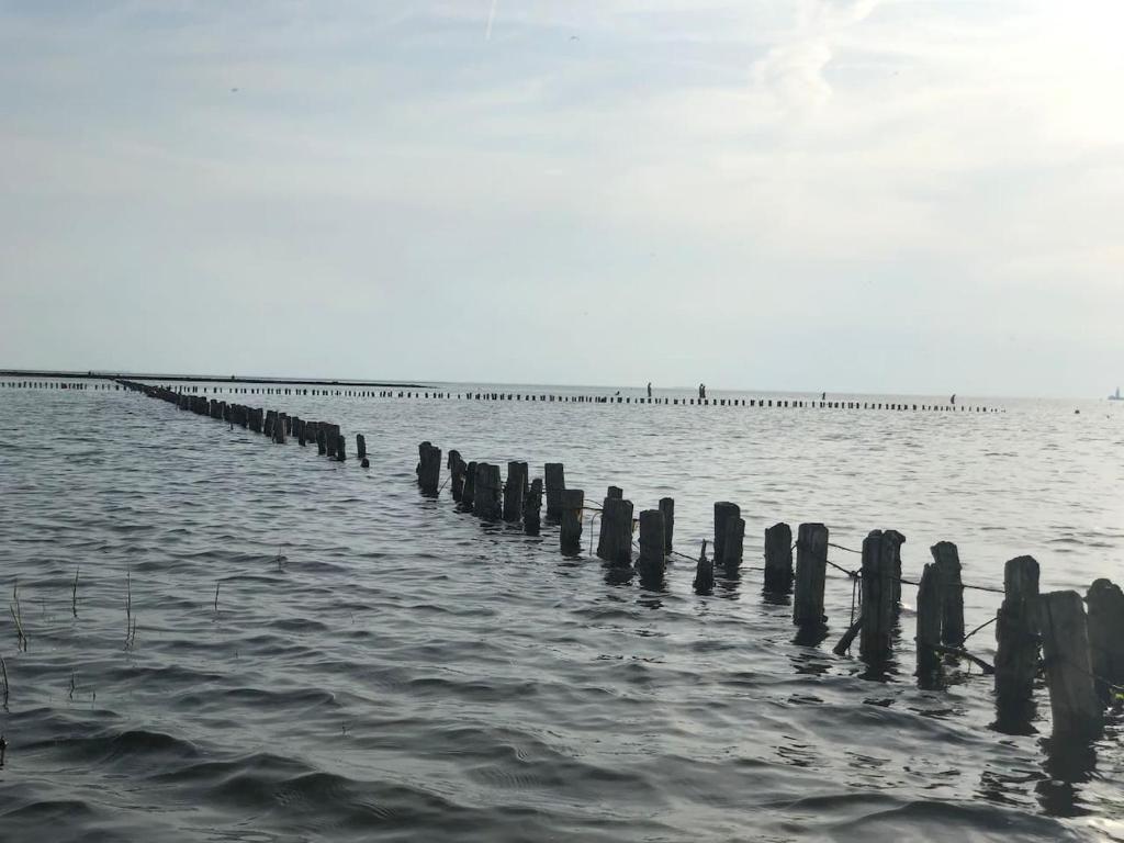 Holzpfähle erstrecken sich über das Wasser bis zum Horizont.
