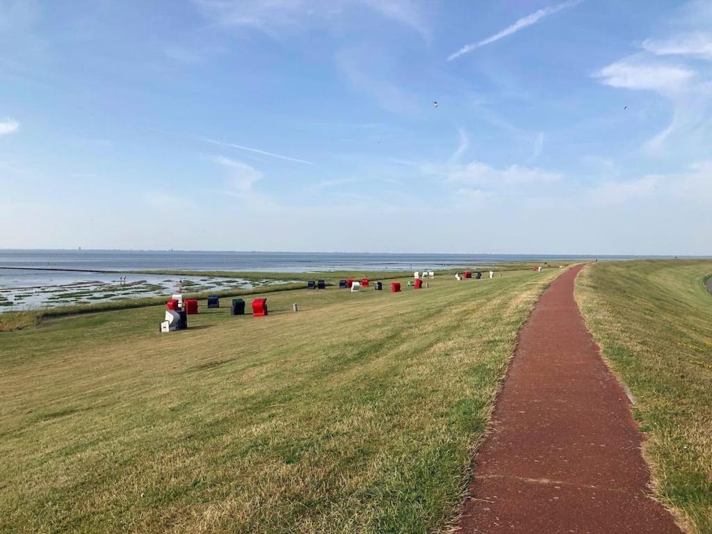 Rote Weg entlang grüner Wiese mit bunten Strandkörben und Blick auf das Meer.