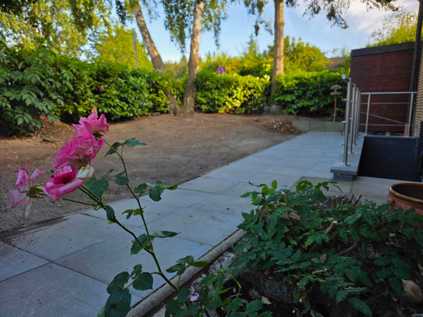 Ein Pfad führt durch einen Garten mit rosa Rosen und Bäumen im Hintergrund.