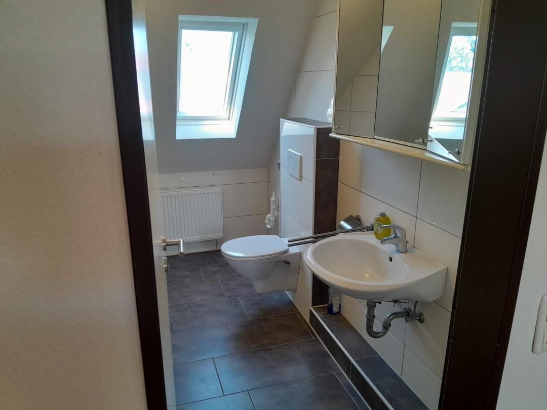 Badezimmer mit Toilette, Waschbecken und Dachfenster.