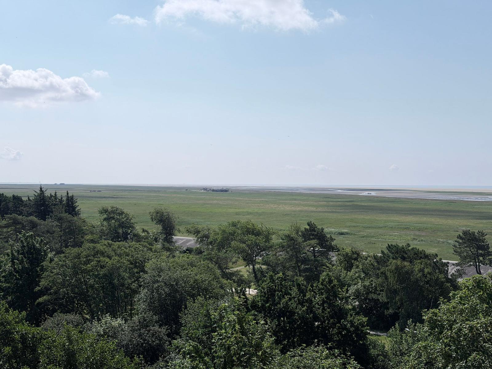 Weitläufiges Grünland mit Bäumen und Horizont unter blauem Himmel mit weißen Wolken.