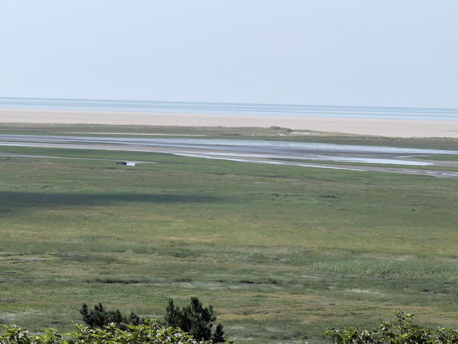 Weitläufiger Blick auf Strand und Watt mit Grünflächen im Vordergrund.