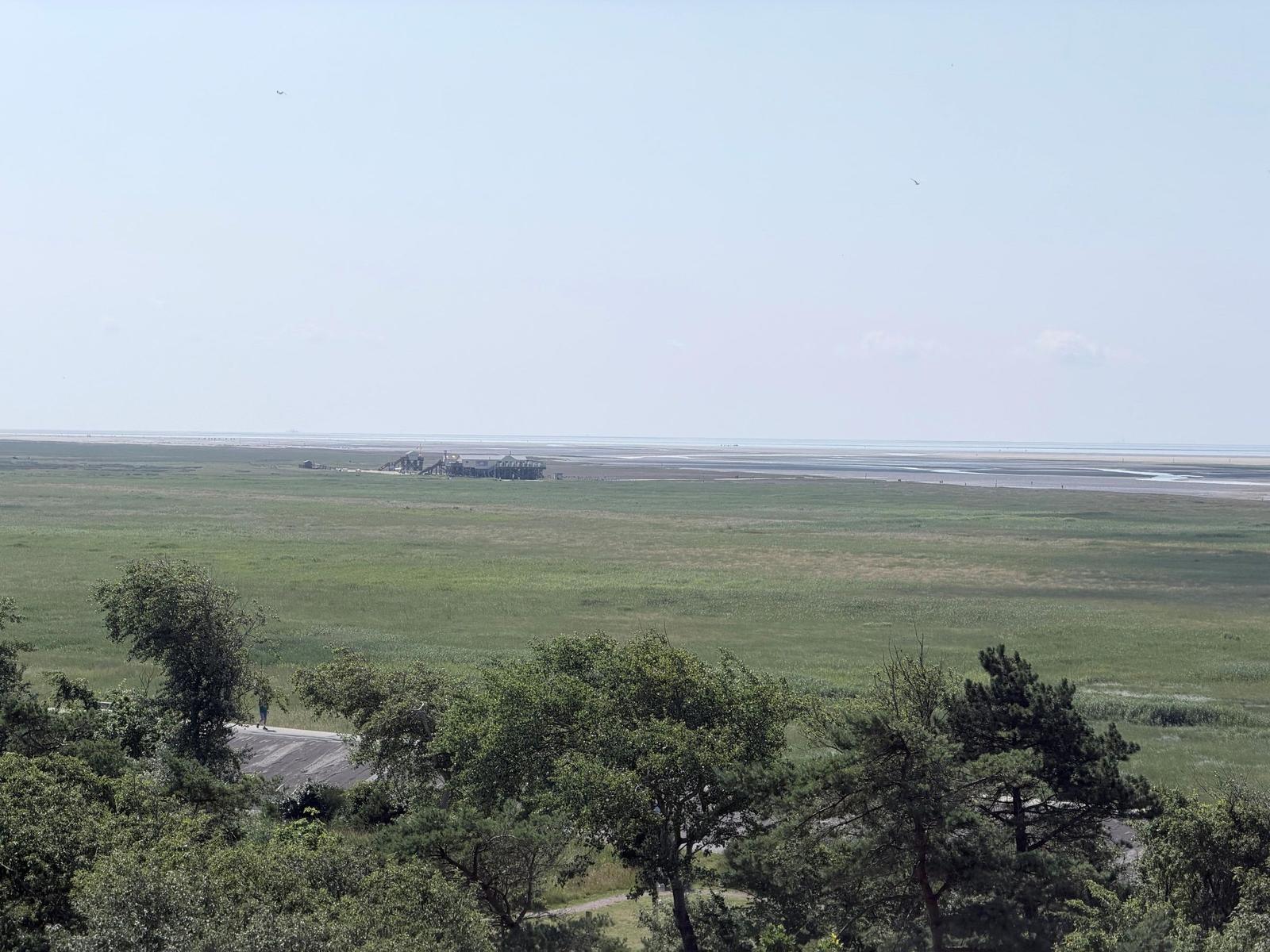 Weitläufige Grünfläche mit Blick auf Strand und Horizont. Bäume im Vordergrund.