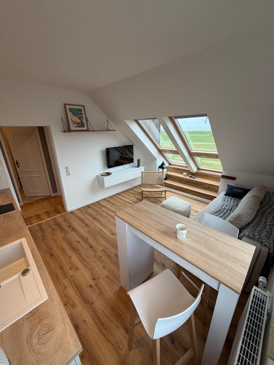 Wohnung mit Holzboden, TV, Sitzgelegenheit und Dachfenstern mit Blick auf Grünfläche.