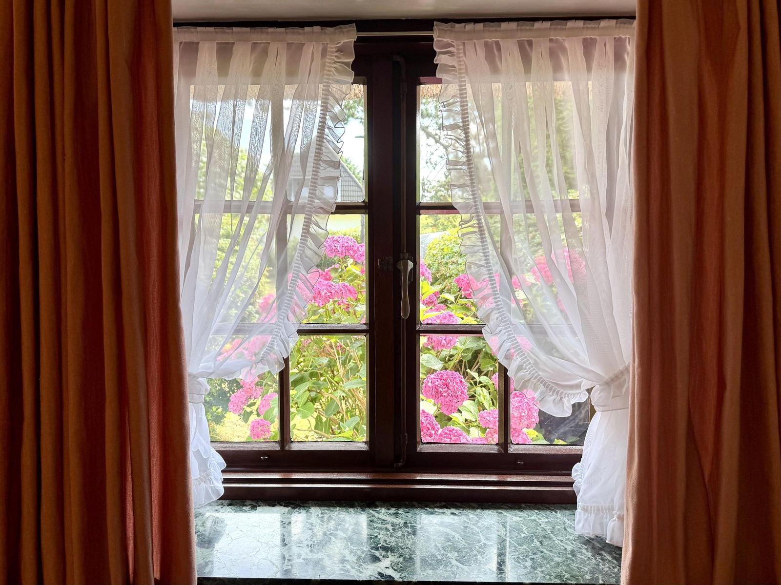 Through the window, one can see pink hydrangeas and green plants.