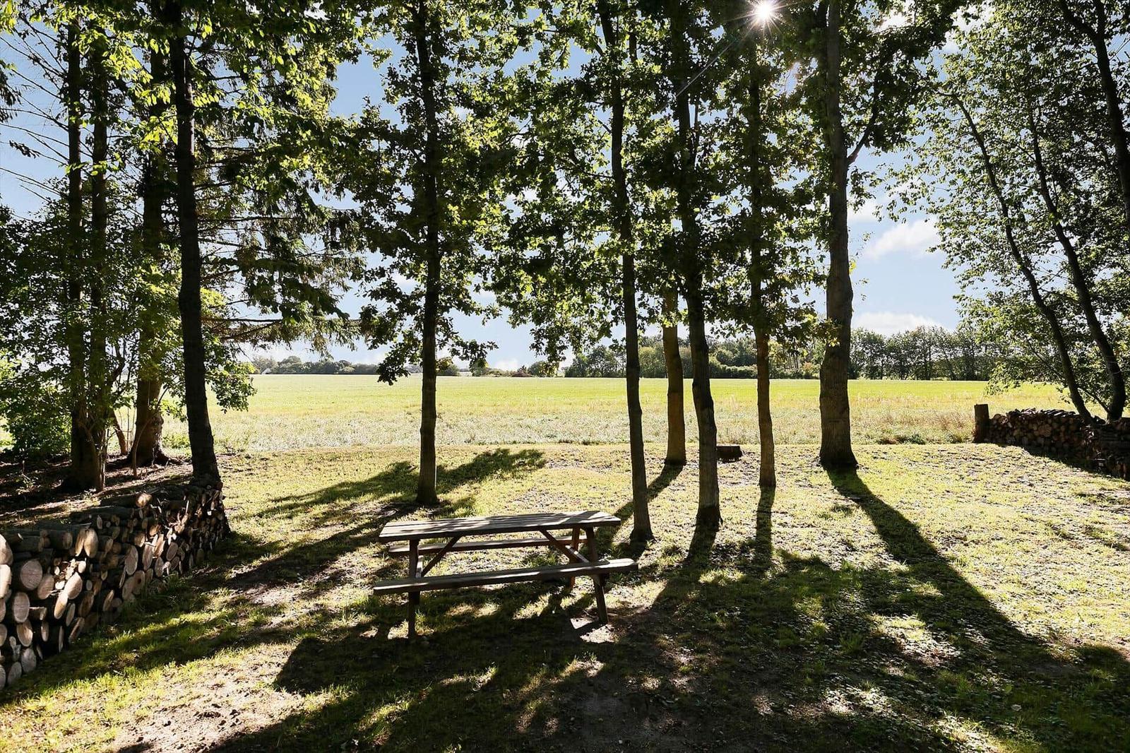 Wooden table under trees with view of field and sun.