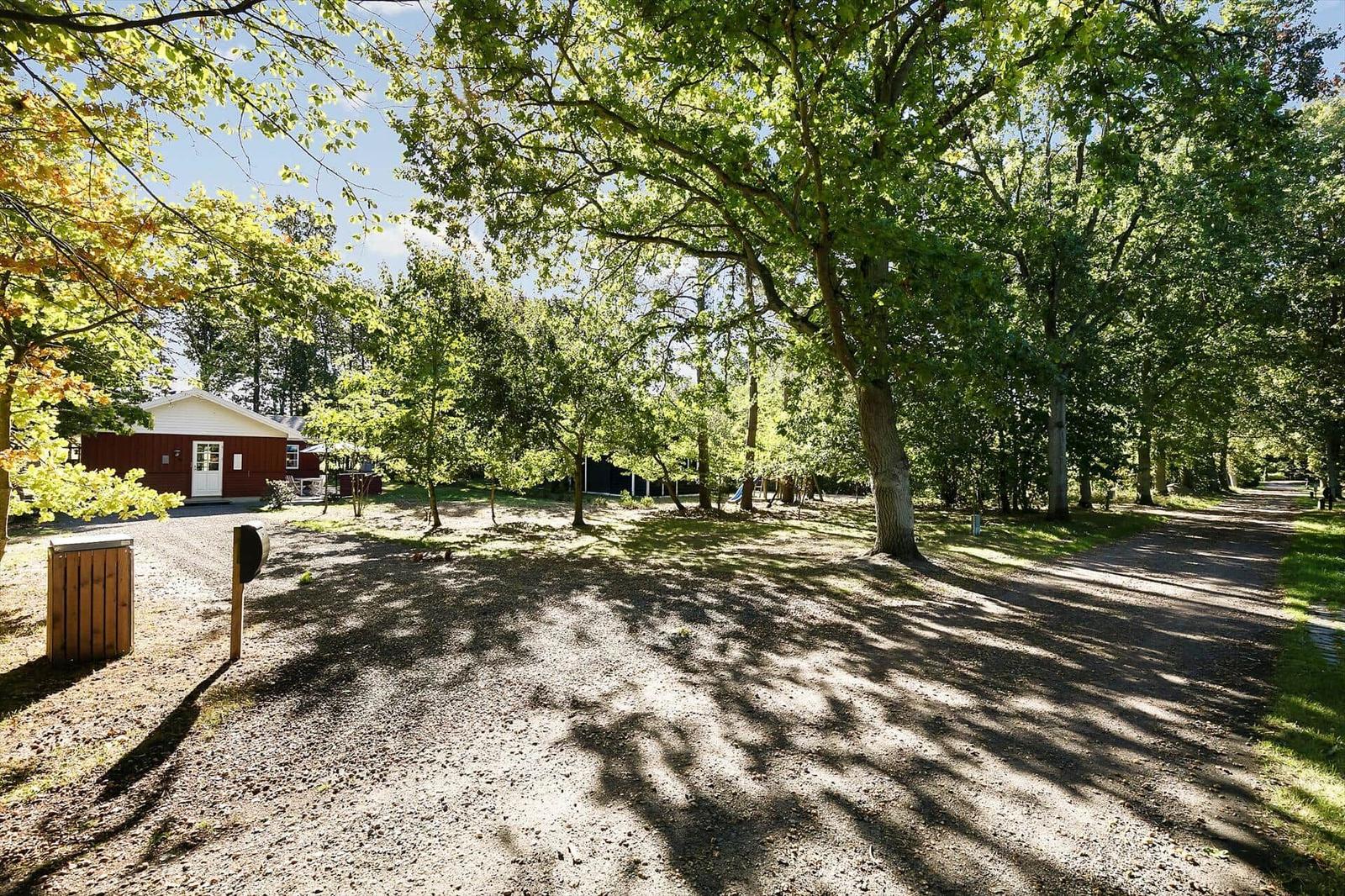 Forest path with view of a wooden cabin among trees.