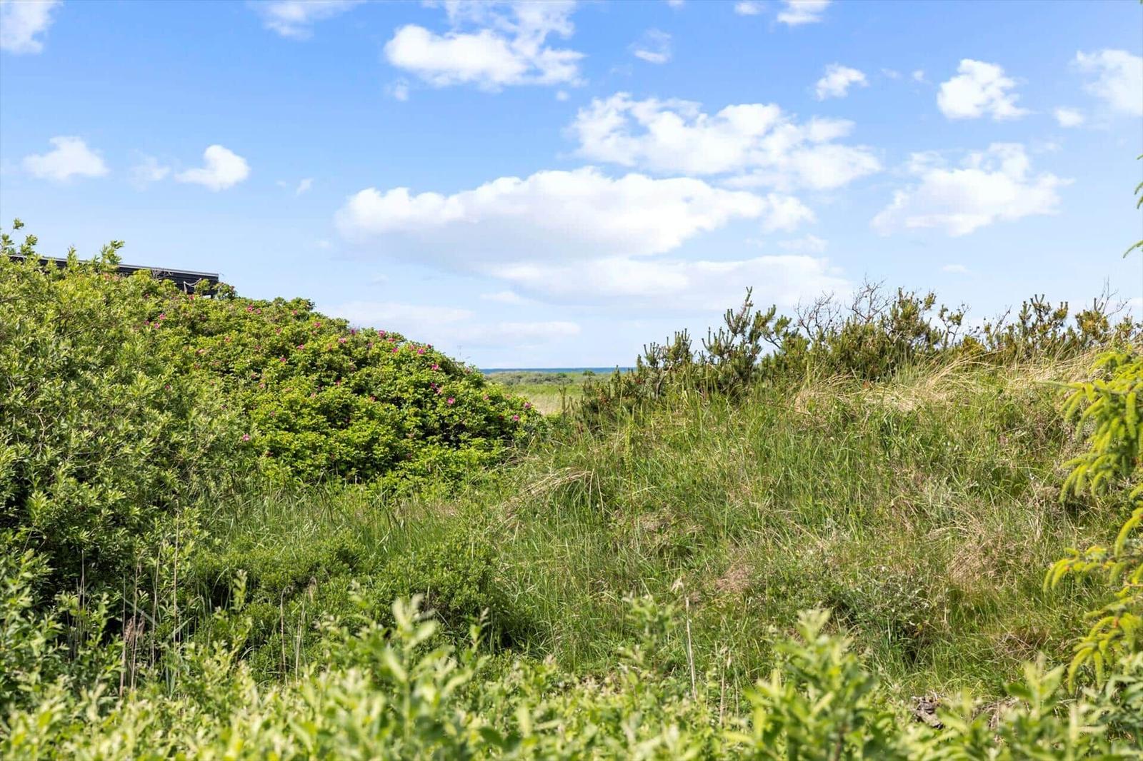 Grüne Dünen mit rosa Blumen und blauem Himmel mit weißen Wolken.