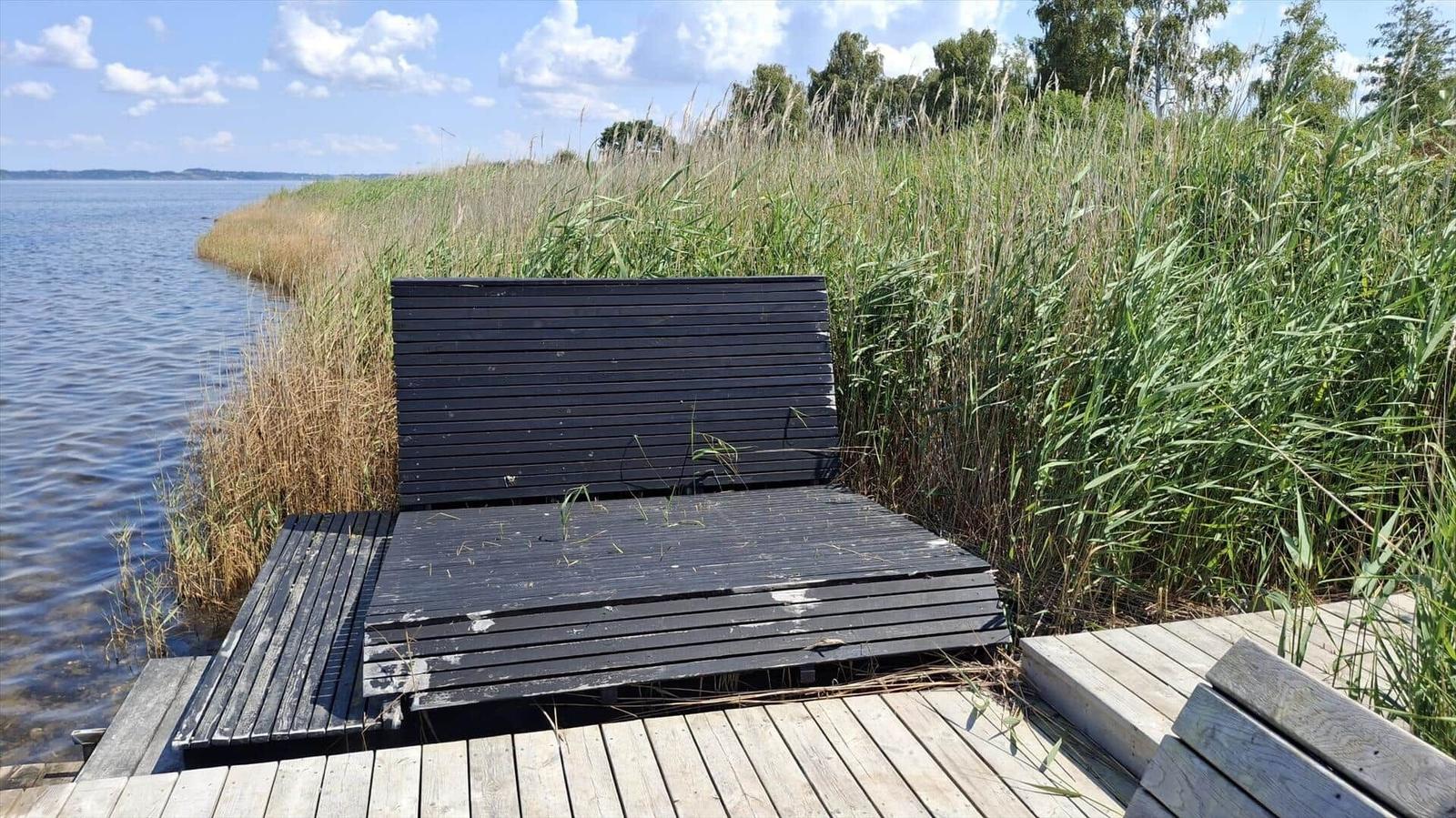 Schwarze Bank am Ufer mit Schilf und Wasser im Hintergrund.