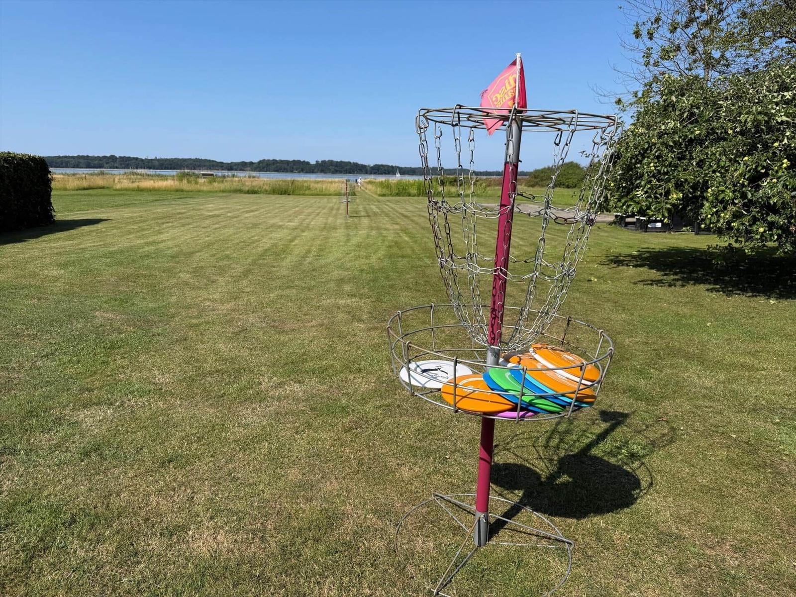 Frisch gestrichener Discgolf-Target mit bunten Discs auf grünem Rasen