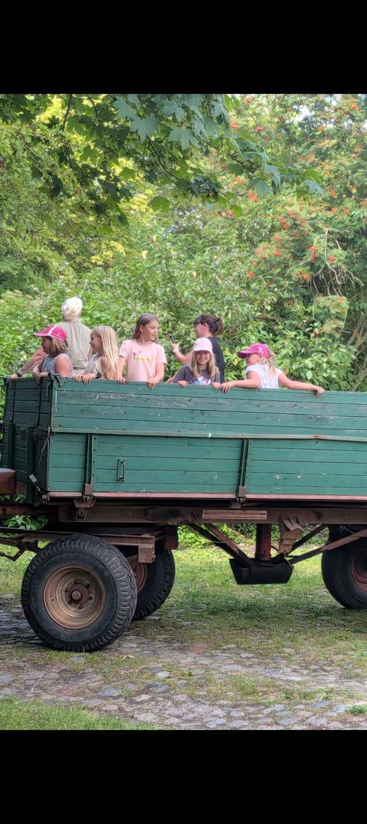 Gruppe von Personen sitzt auf einem grünen Holzanhänger im Freien.
