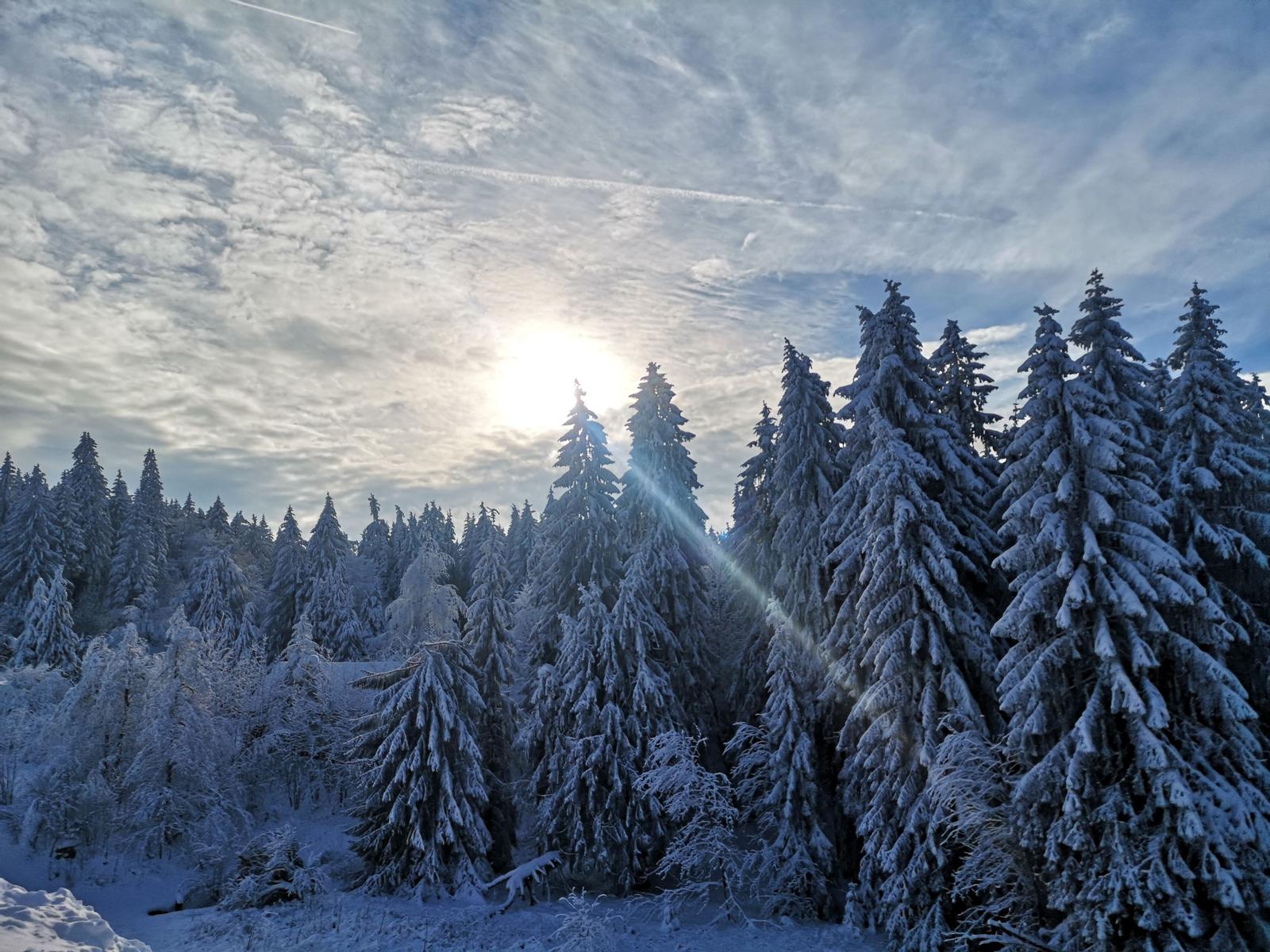Schneebedeckte Tanne unter Sonne und Wolken