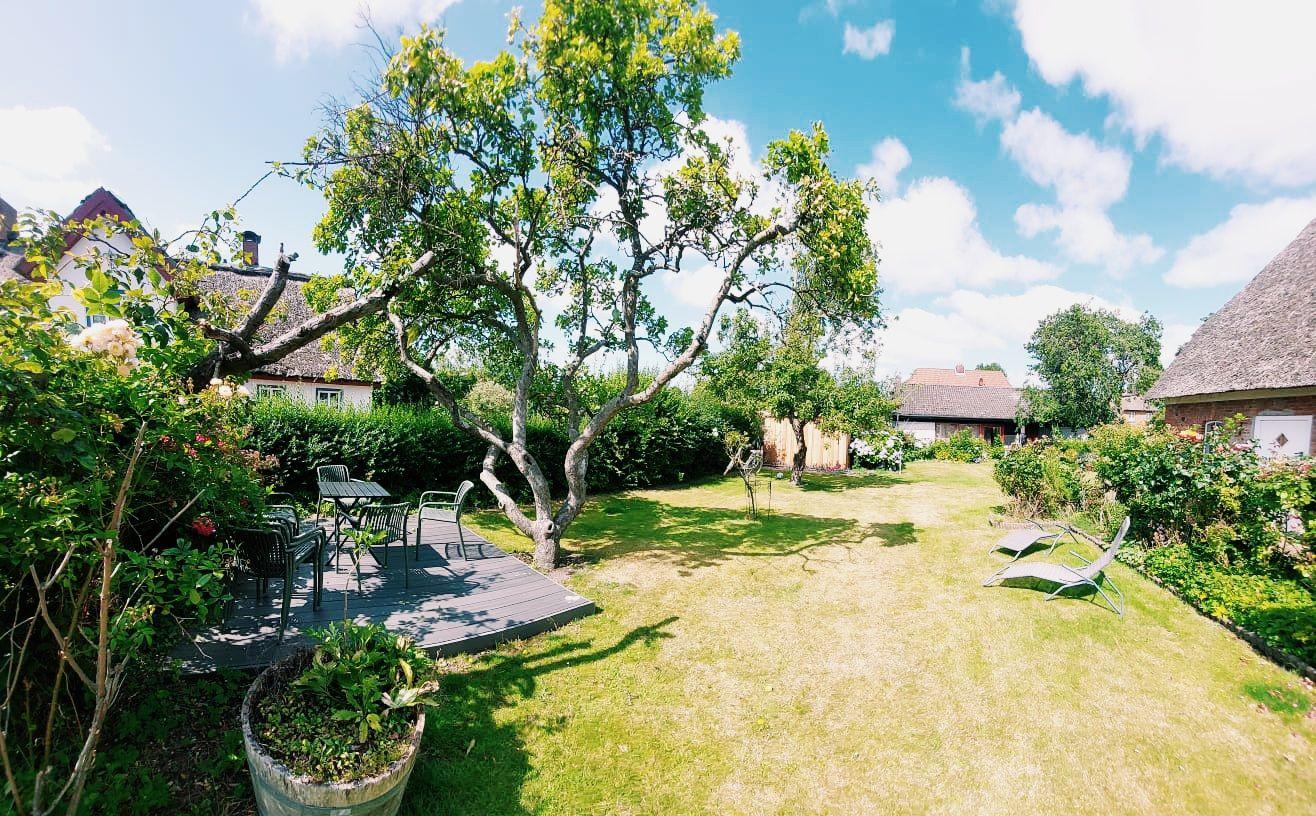 Hinterhof mit Rasenfläche, großer Baum, Terrasse mit Tisch und Stühlen sowie Liegestühle.