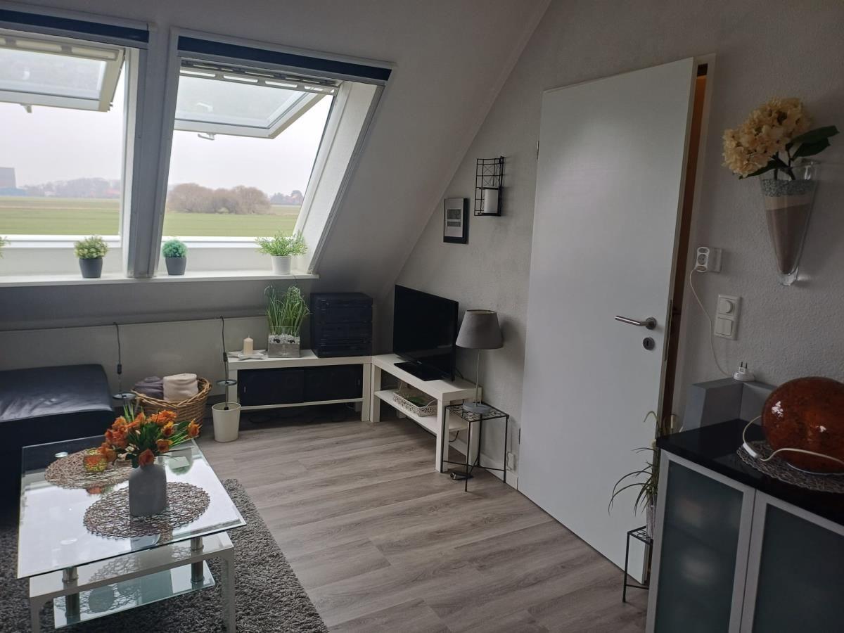 Wohnzimmer mit Dachfenstern, Fernseher und Glas-Tisch. Holzdielenboden und Pflanzen.