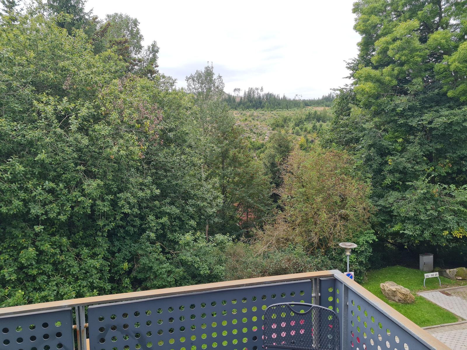 Terrasse mit Blick auf grüne Bäume und einen Waldhang.