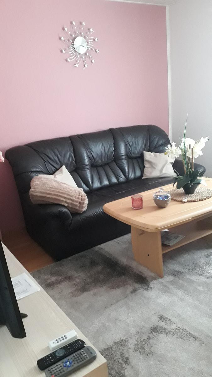 Schwarzes Ledersofa vor rosa Wand mit Tisch und Pflanze.