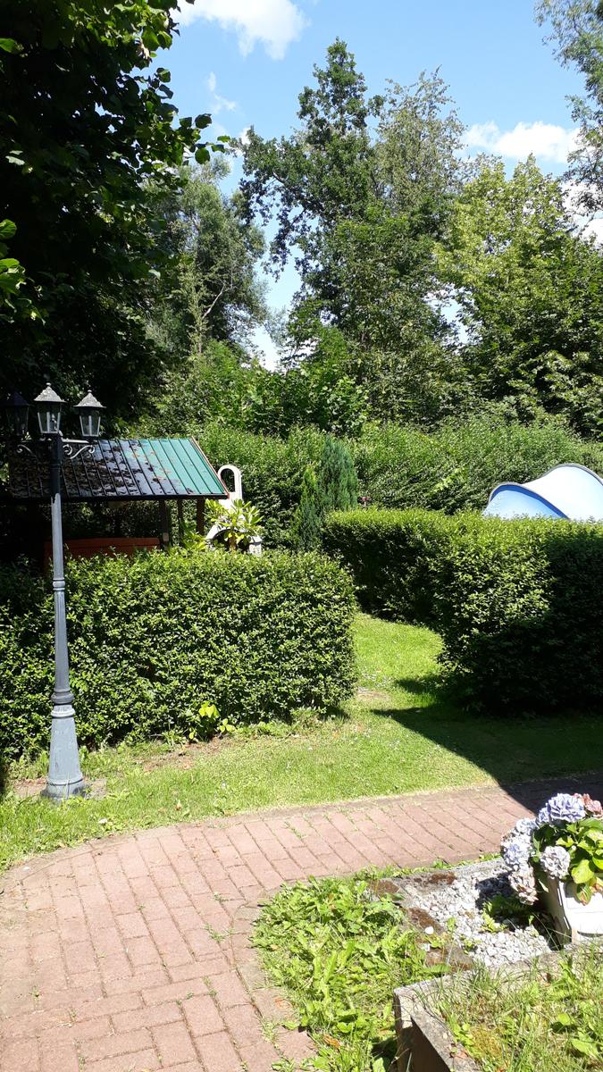 Garten mit gepflastertem Weg, Hecke und Pavillon unter Bäumen.