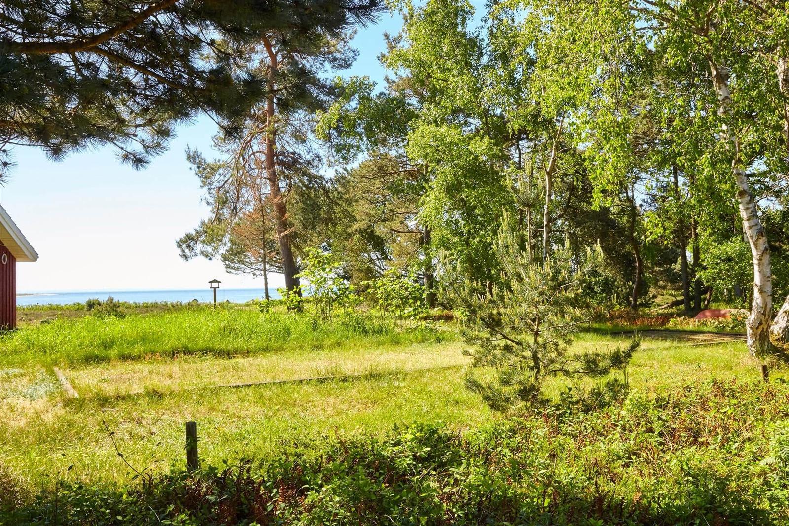 Durch Fensterblick auf grünes Gras, Bäume und ein Schiff am Horizont.