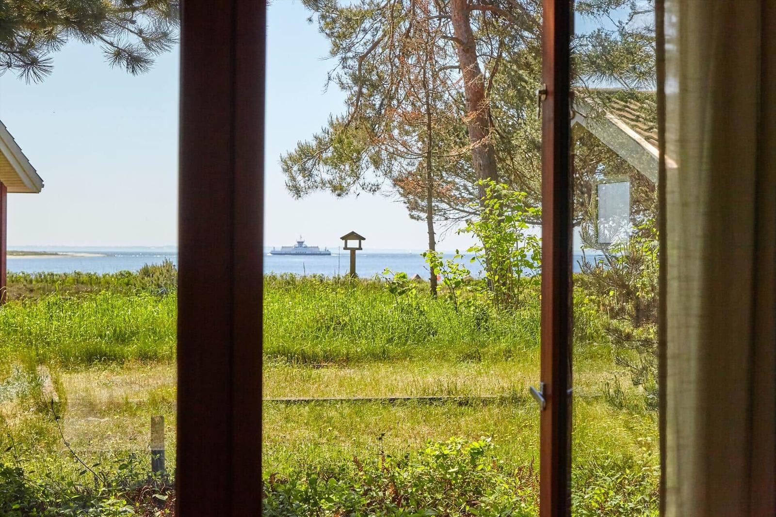 Grünes Gelände mit Baum und Blick auf das Meer.