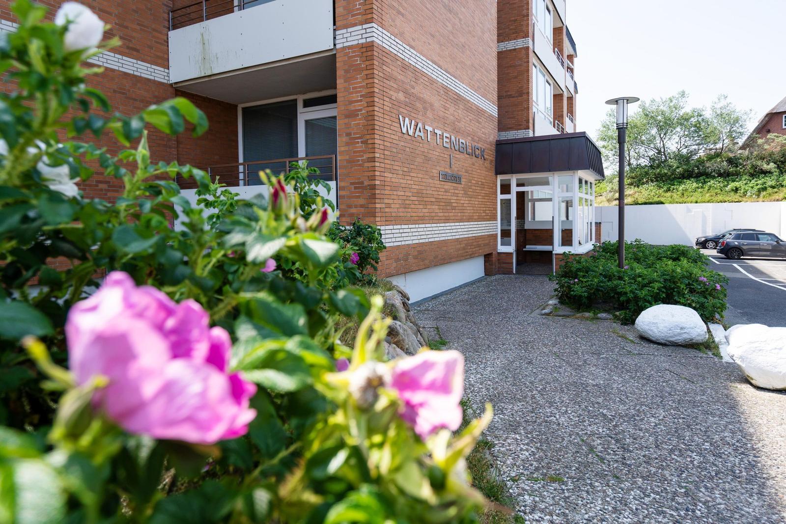 Holzweg durch grüne Hecken mit rosa Blumen zum Meer
