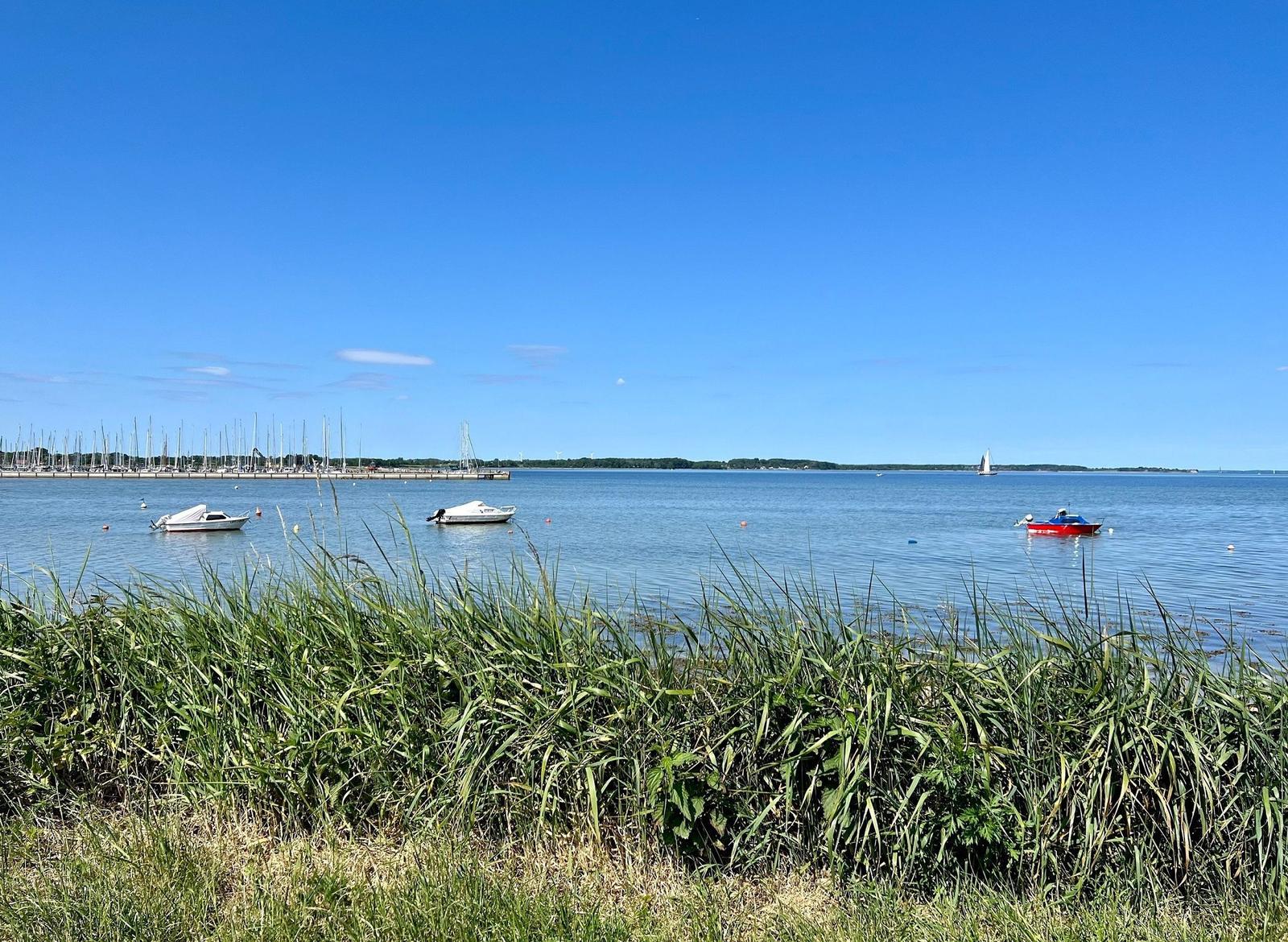 Two motorboats float on water, with sailboats and a green coastline in the background.