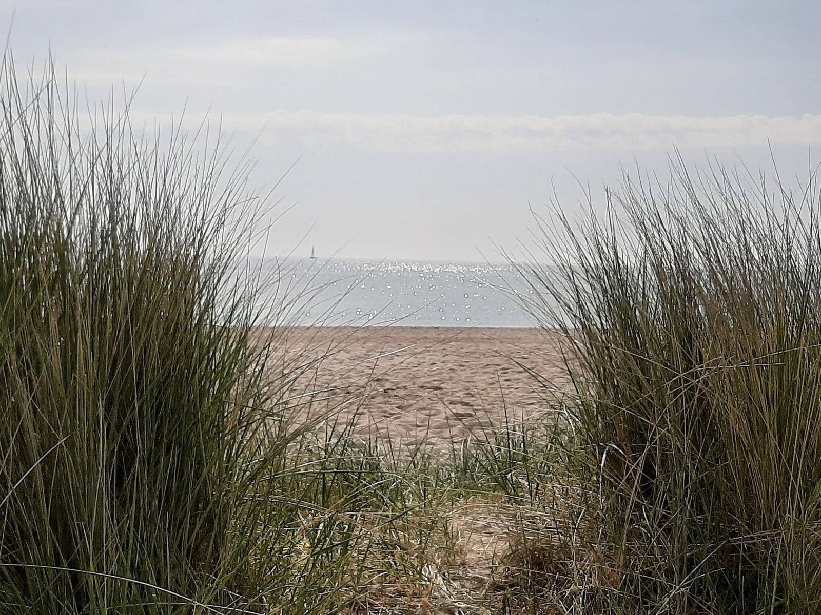 Strand mit Dünen und Sand, Blick auf das Meer unter blauem Himmel.