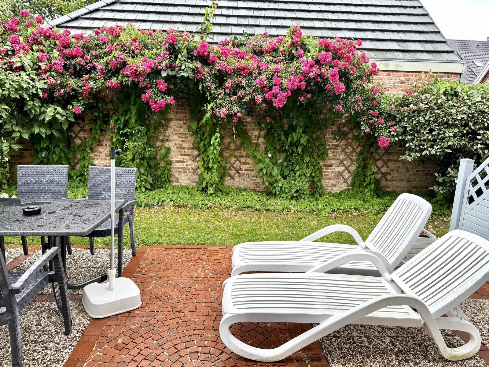 Terrace with white sun loungers, grey seating set and climbing roses on the wall.