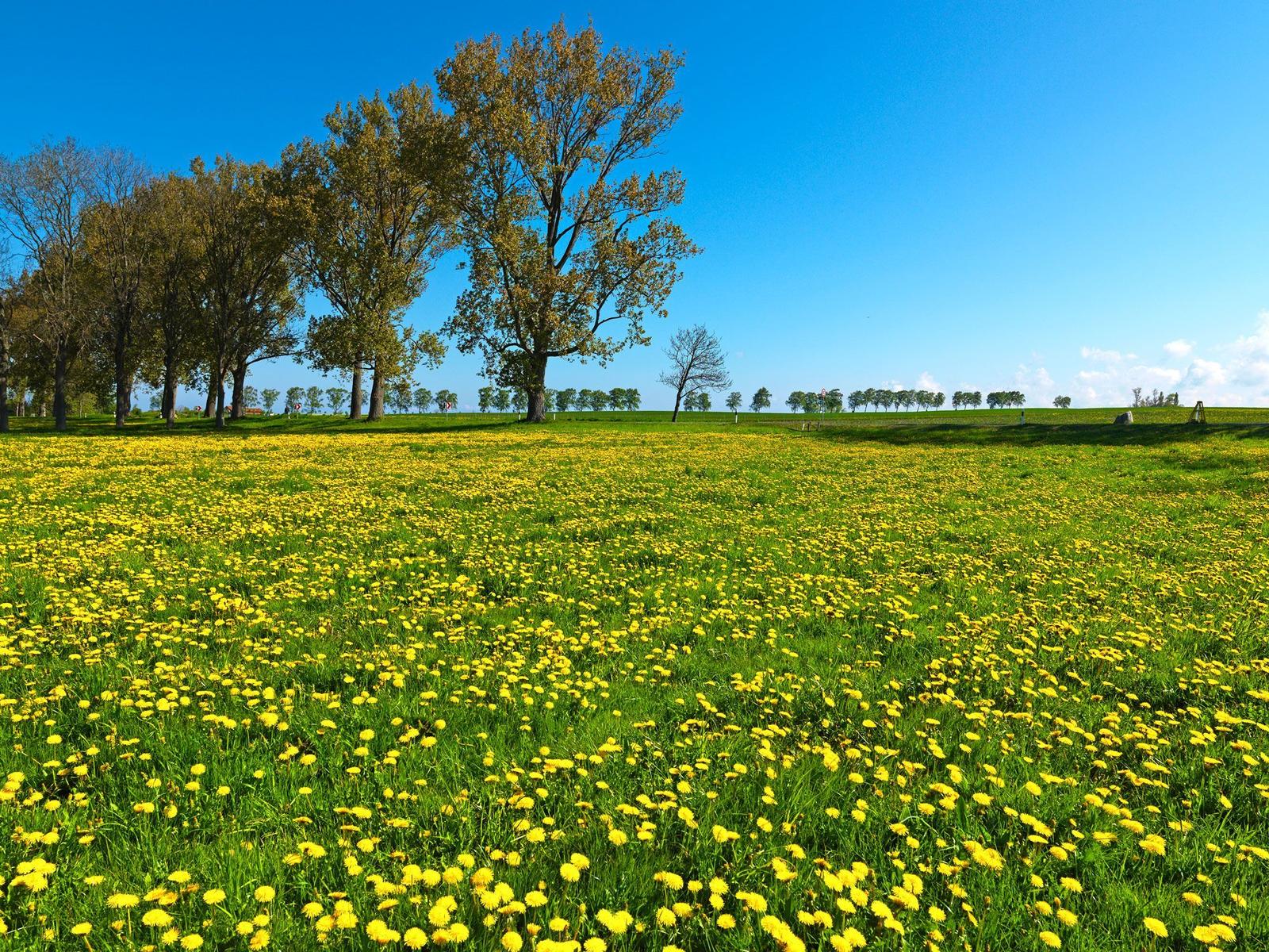 Landschaft
