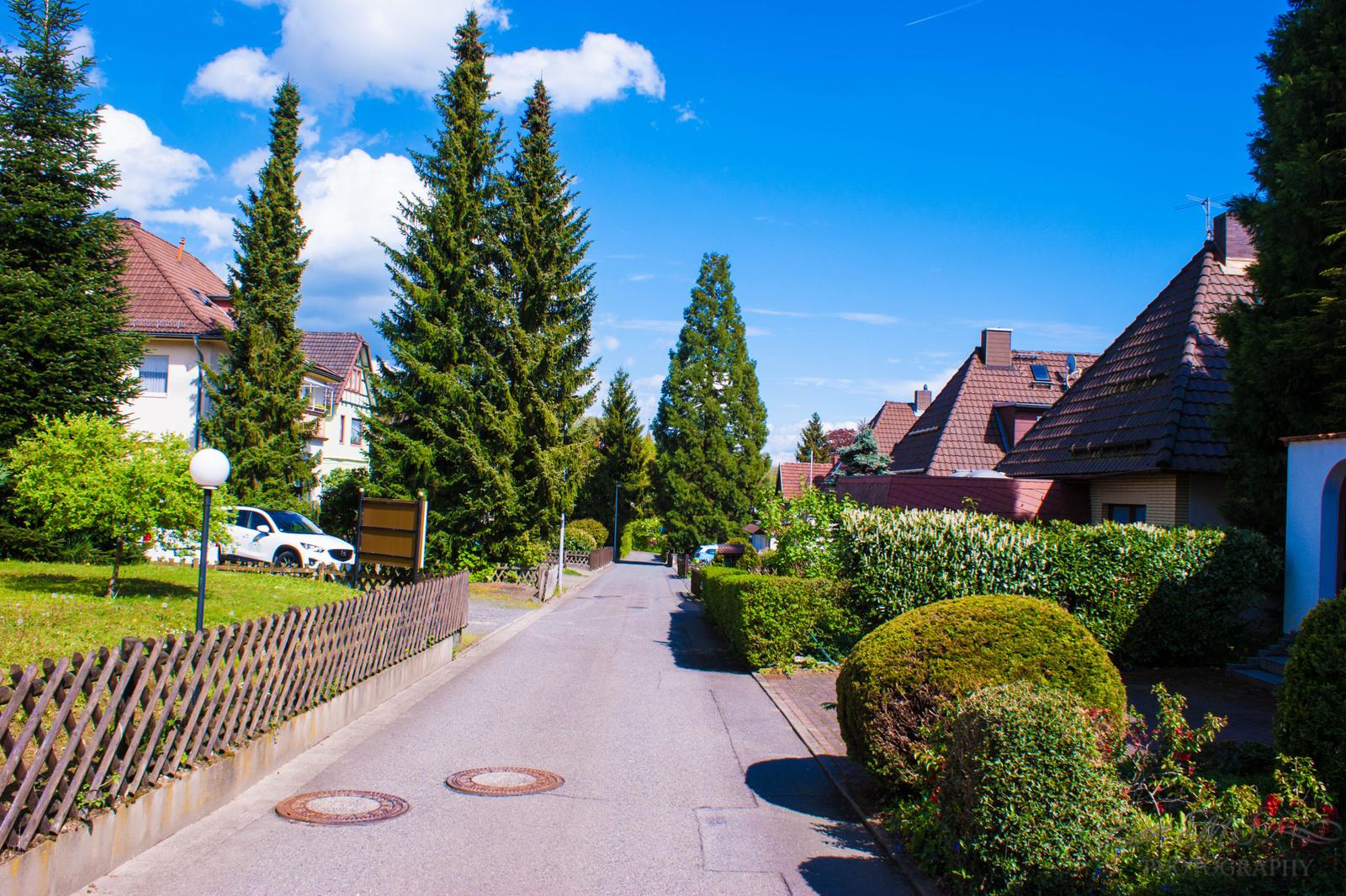 Eine Straße mit Häusern, Bäumen und einem gepflasterten Weg unter blauem Himmel.