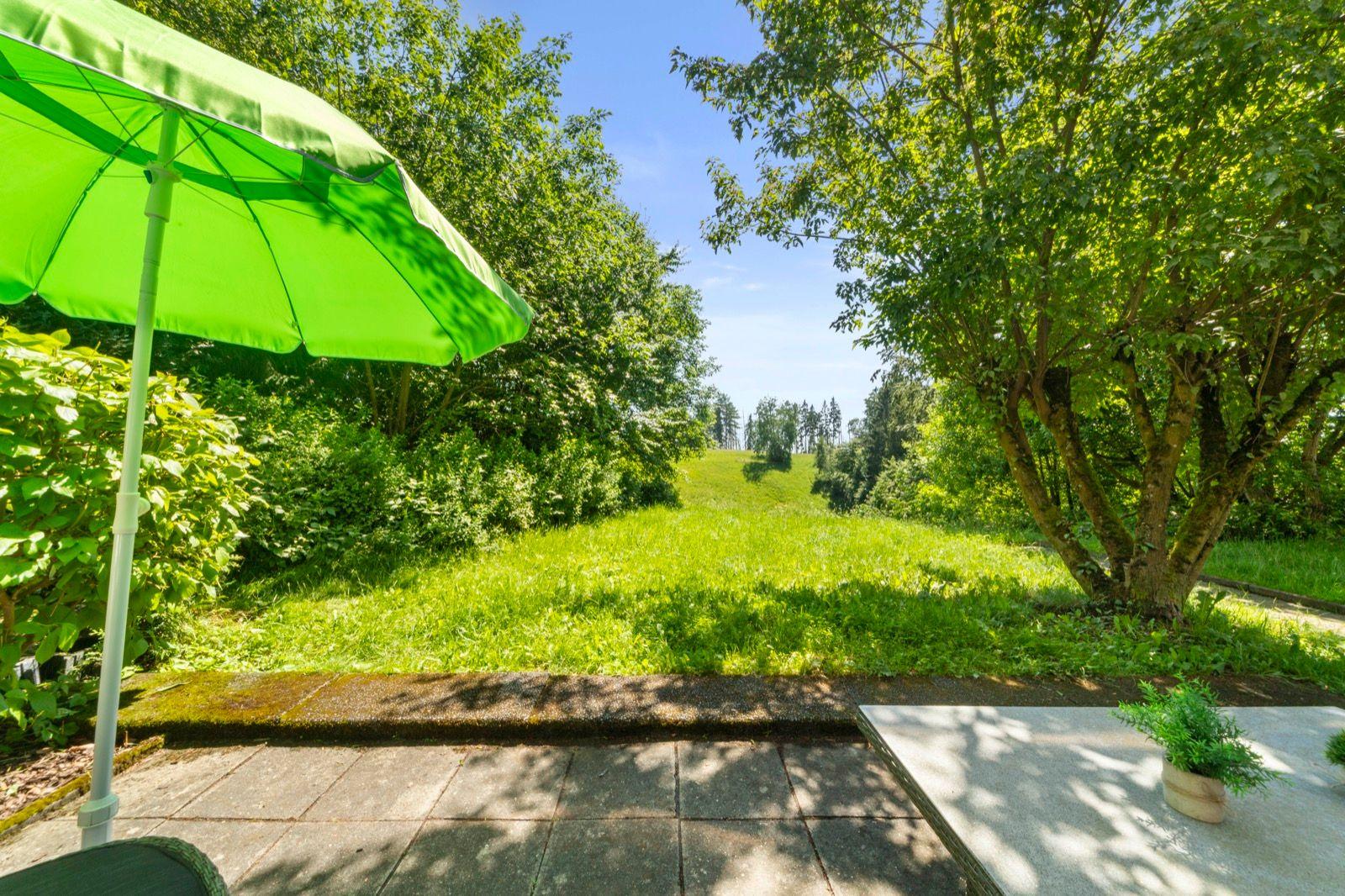 Blick von der Terrasse in die Natur / auf den Rodelhang