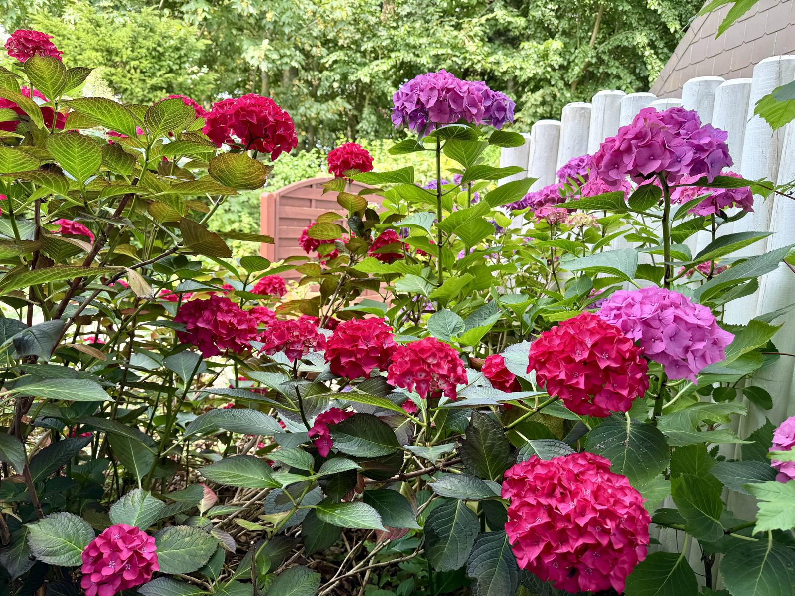 Gartenblick