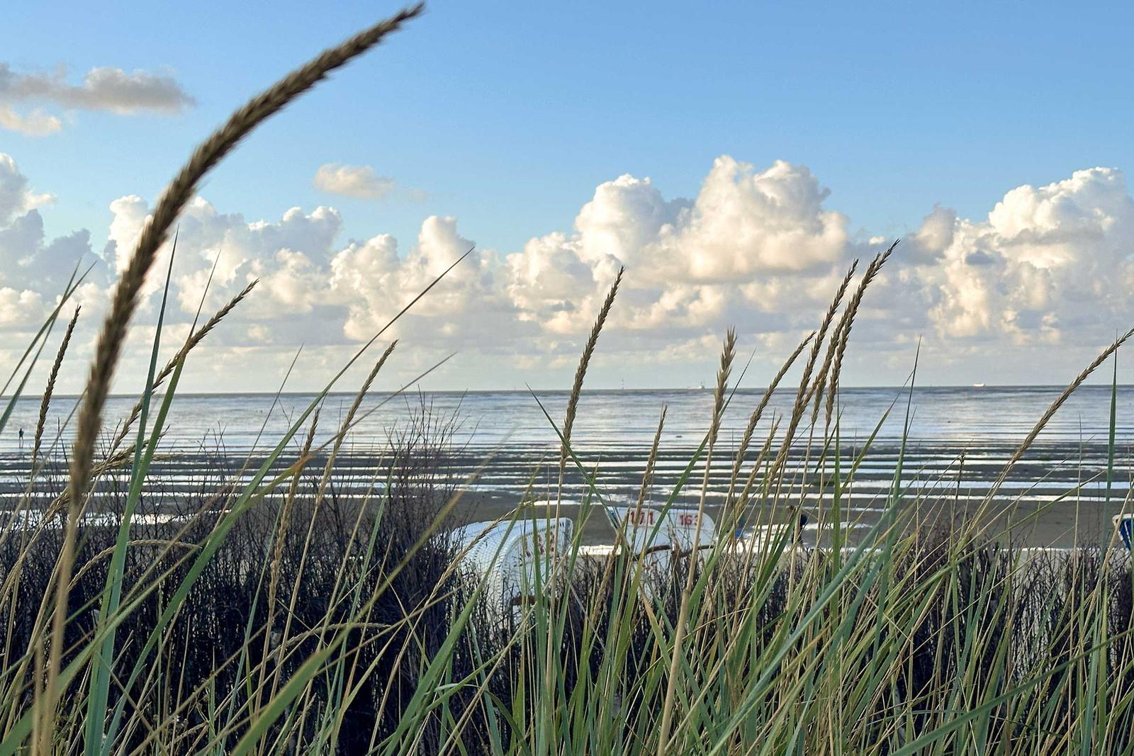 Blick aufs Meer mit Strandkörben und ablaufenden Wasser