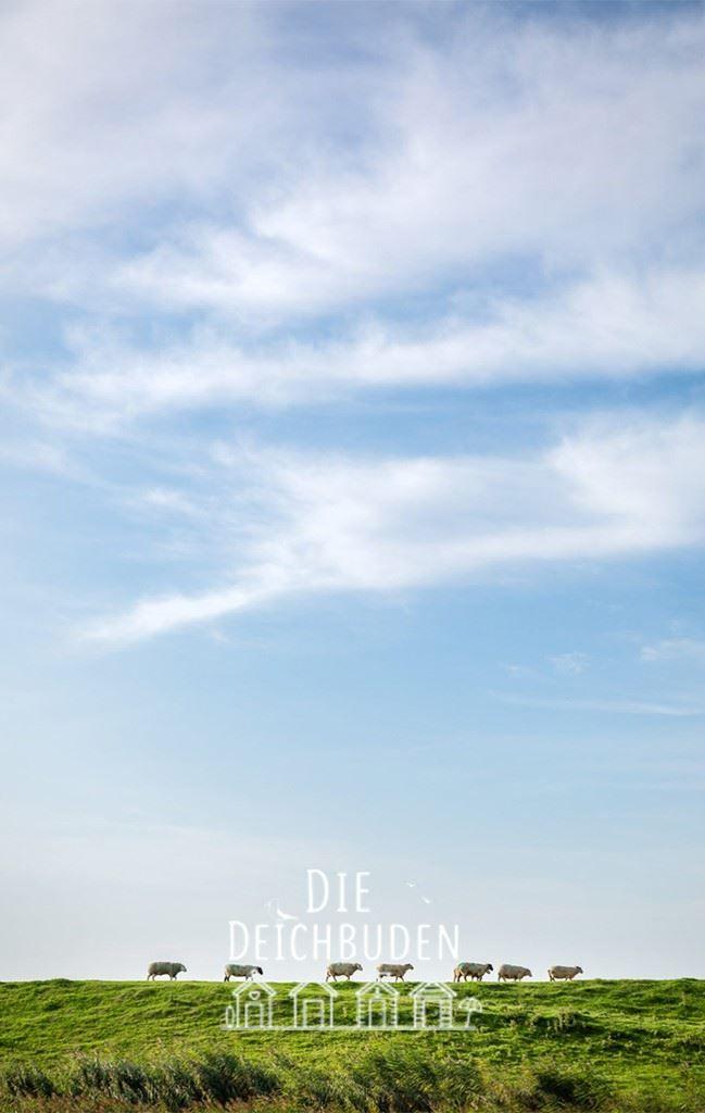 Ausblick des Domizil...