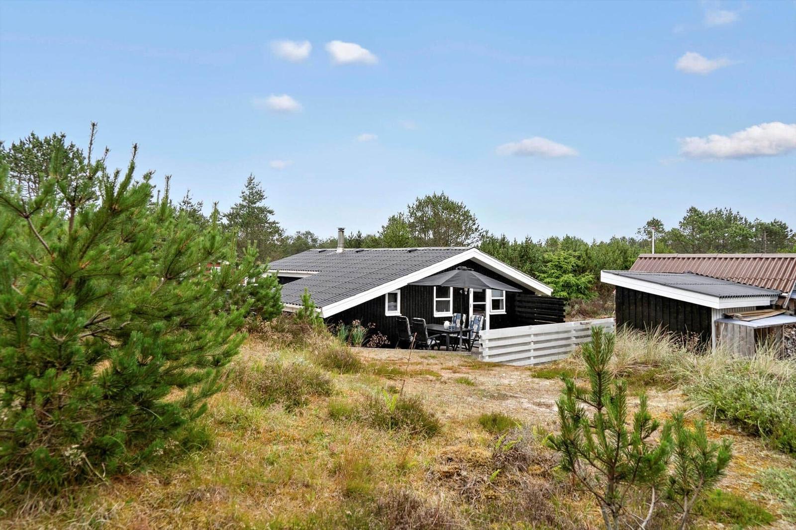 Apartment with kitchen, bathroom, three bedrooms, and two sheds.