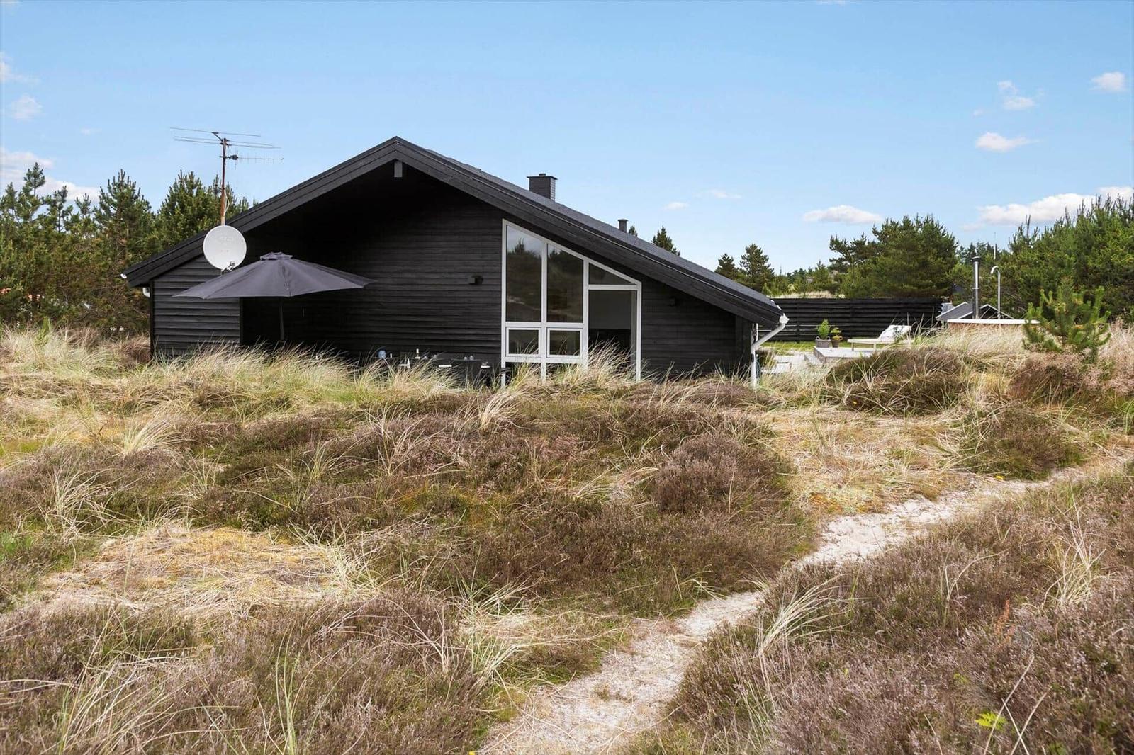 Path through grassy dunes with coniferous trees in the background.