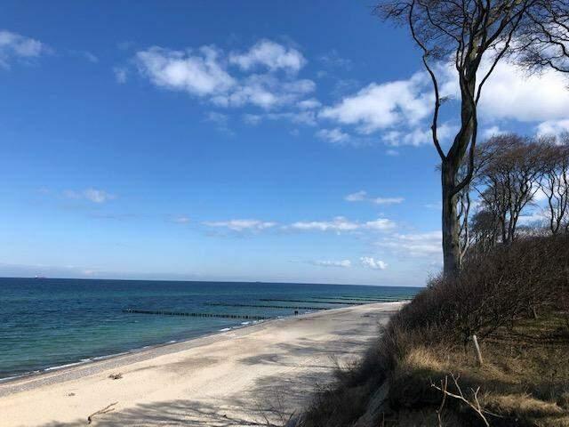 Strand mit blauem Himmel und Bäumen am Ufer.