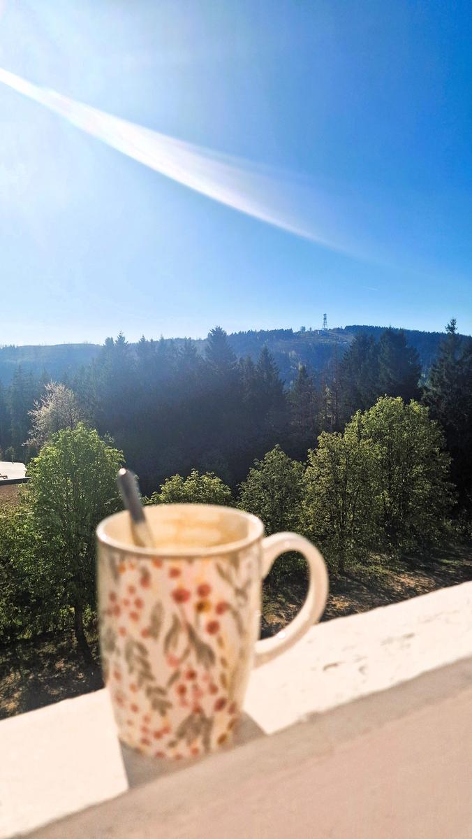 Ausblick vom Balkon Richtung Bocksberg.