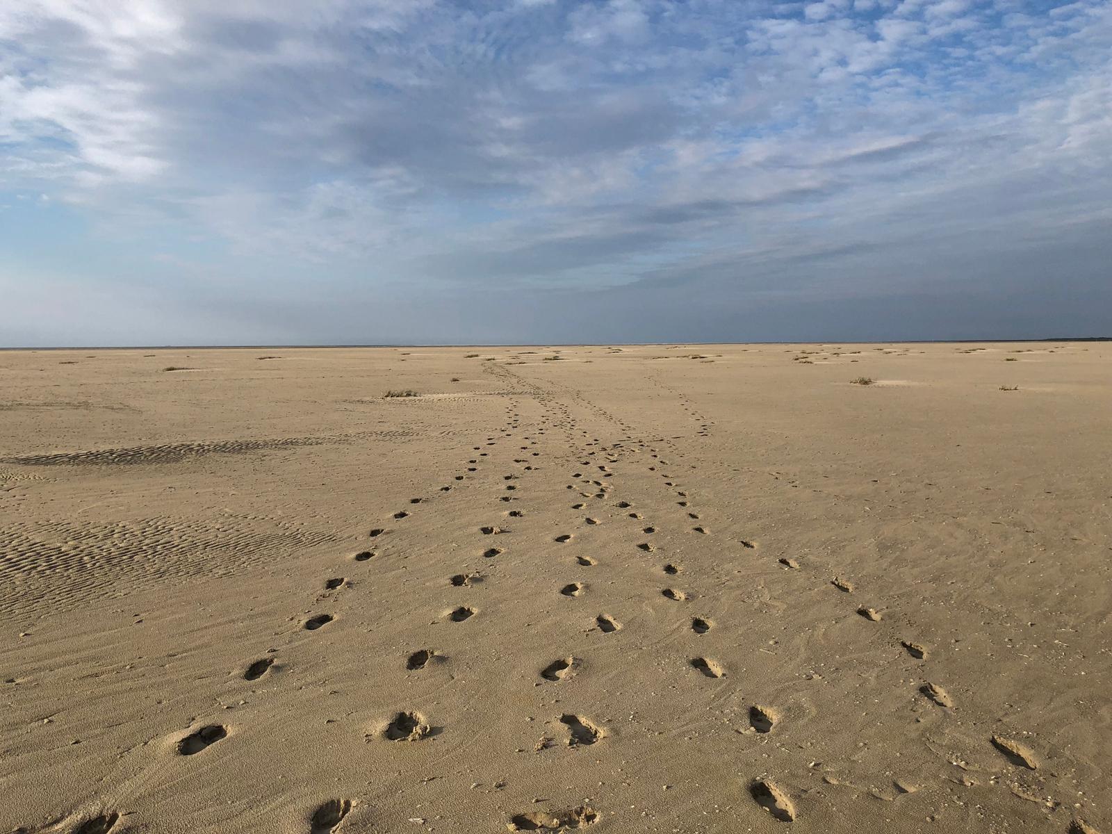 12 km Sandstrand