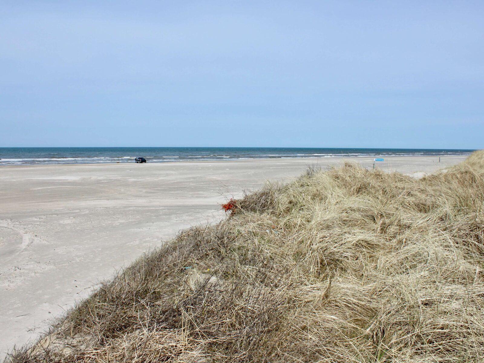 Strand...