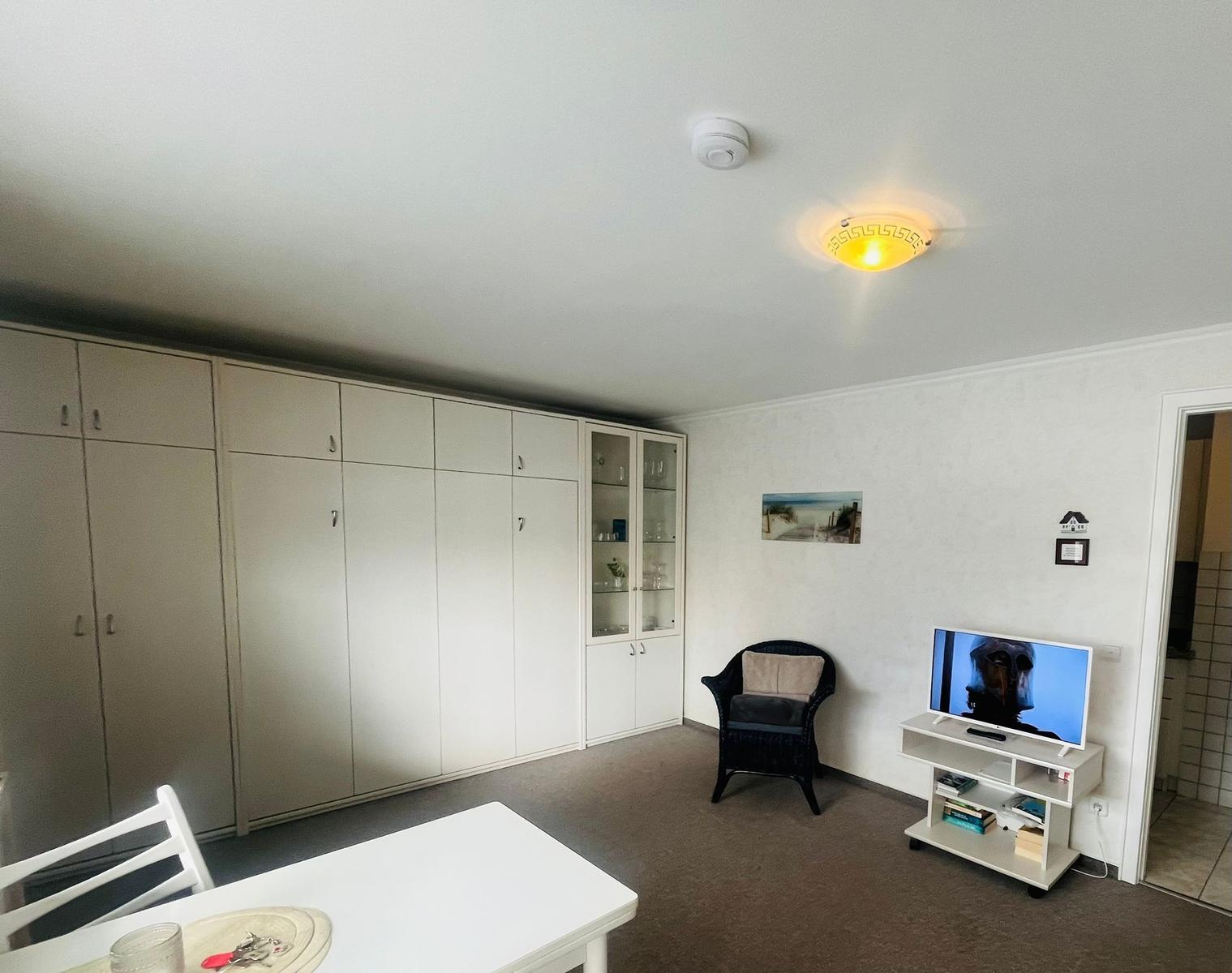 Wohn- und Schlafbereich mit Schrankbett und TV