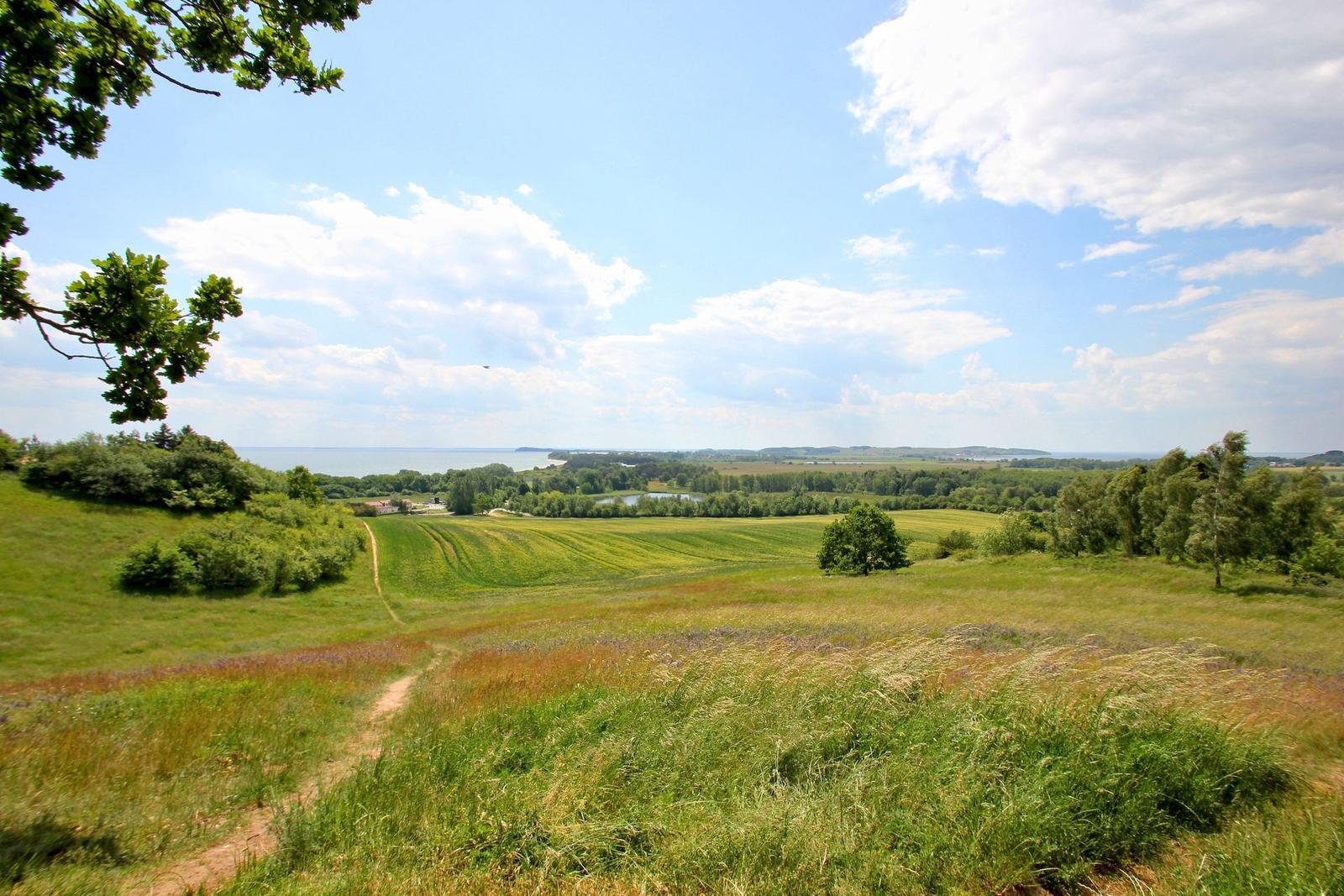 Aussicht auf Küstenort mit Strand und Wald
