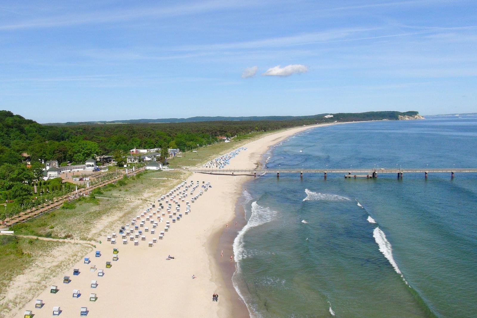 Holzbank unter Bäumen mit Blick auf Grasland und See