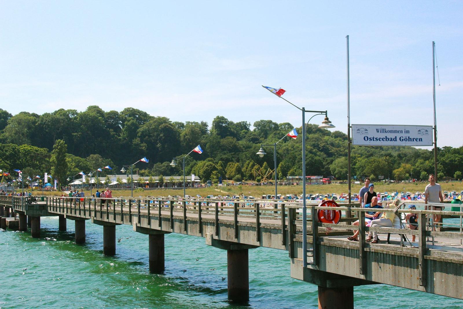 Strand mit Steinen und Baum am Ufer. Meer und klarer Himmel im Hintergrund.